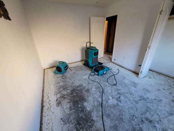Best Professional water damage repair  in Cheswick, PA