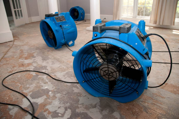 Best Residential water damage restoration  in Cheswick, PA