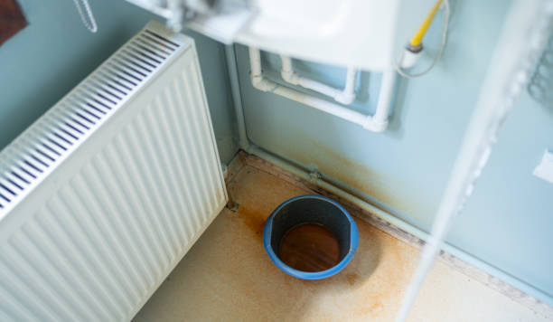 Best Carpet water damage restoration  in Cheswick, PA