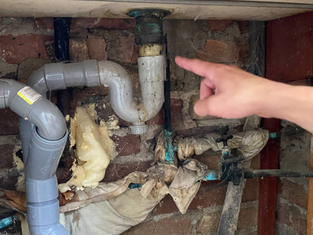 Best Basement water damage restoration  in Cheswick, PA